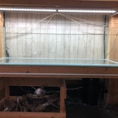 中古のオールガラス1200水槽と自作水槽台