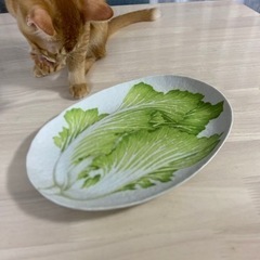 【ネット決済・配送可】Taituの大きめお皿です。
