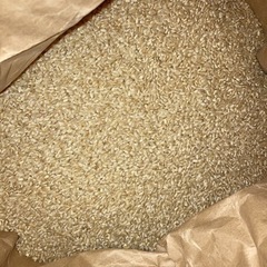 玄米10キロ(お話中)