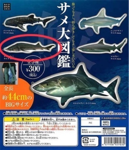 サメ大図鑑 チョウザメ ヤブ 熊本のおもちゃの中古あげます 譲ります ジモティーで不用品の処分