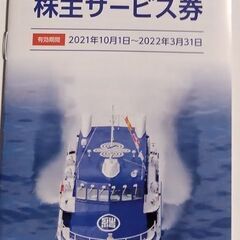 東海汽船株主サービス券6枚セット有効期限22年3月末
