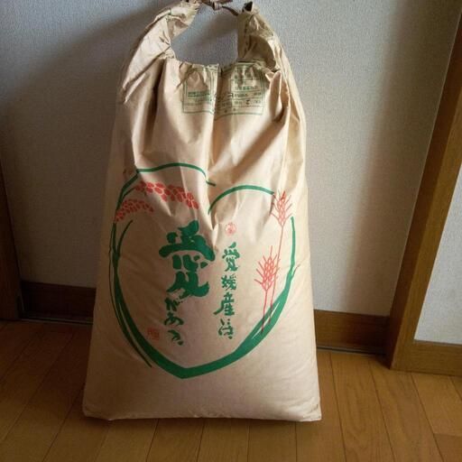 令和2年産　玄米25㎏