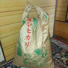 【ネット決済】農家さんのお米(玄米)15kg