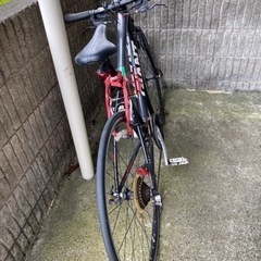 ジャイアント　XSサイズ