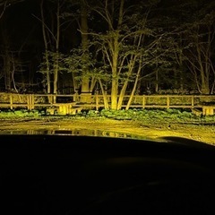 VELENO MORTARE イエロー　H8