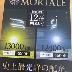 VELENO MORTARE イエロー　H8