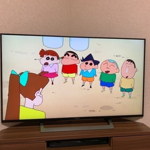 SONY ソニー　テレビ　KJ-49x8300DB