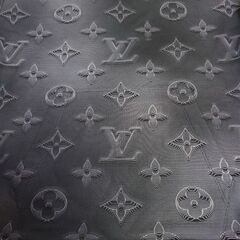 LOUISVUITTON ルイヴィトン 2054 フーディ3Dモノグラムプルオーバー