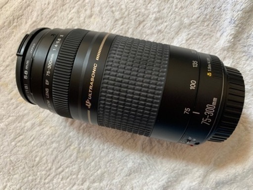 Canon EFレンズ EF75-300mm