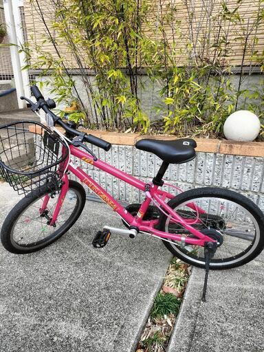 子供用自転車ルイガノ18インチ