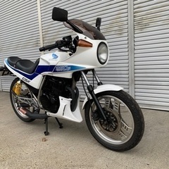 稀少　CBX250S  好調　最終値下げ