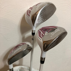 レディースゴルフセット　ルーズベルトテディベア