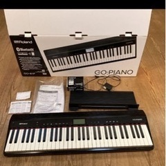 GO:PIANO Entry Keyboard (GO-61P)
