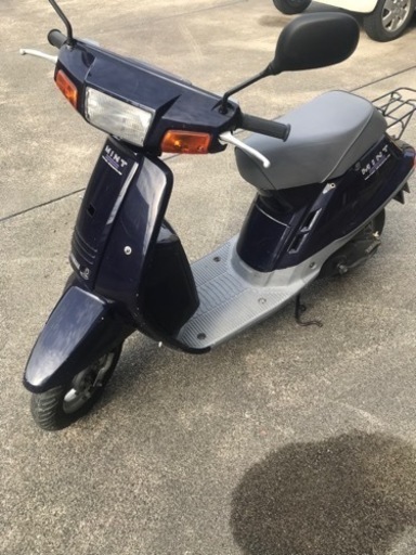 ミント50