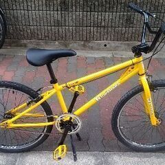 🚴クワハラ サバイバー24