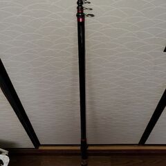 DAIWA大島1.5号と5号竿