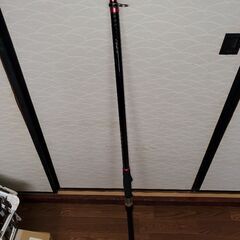 DAIWA大島1.5号と5号竿