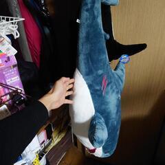 【ネット決済】サメのぬいぐるみ