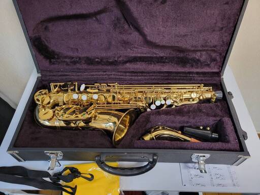 ☆☆ほぼ使用してません♪入門用アルトサックスPARATINO飾り彫☆☆ ほぼ使用してません♪入門用アルトサックスPARATINO飾り彫