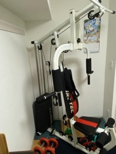 IROTEC マルチホームジムDX150ポンドタイプ