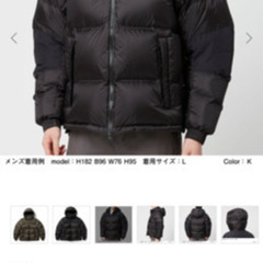 【ネット決済・配送可】THE NORTH FACE