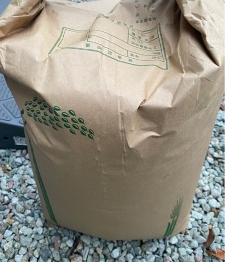 新米玄米　きぬむすめ30㎏