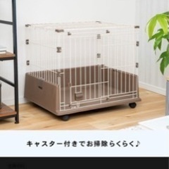 【ネット決済】犬　猫用　ゲージ　キャリーバック　セット　コーナン