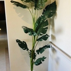 【ネット決済】値下げしました！ニトリ☆光触媒の空気を浄化する観葉植物！