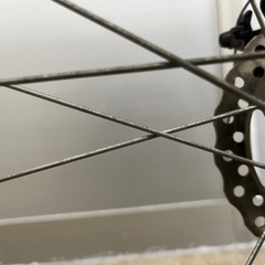 　FサスWディスク