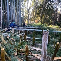 林伐採抜根　竹林伐採　高木剪定伐採ならツチヤガーデンホームへ/所...