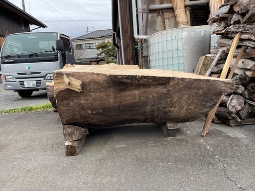 クスノキ 丸太 彫刻用 | noonanwaste.com