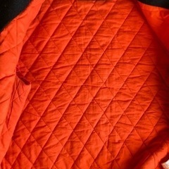 ラコステライブ　スタジャン