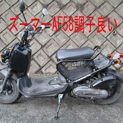 ホンダ・ズーマーAF58。調子良く走っています。