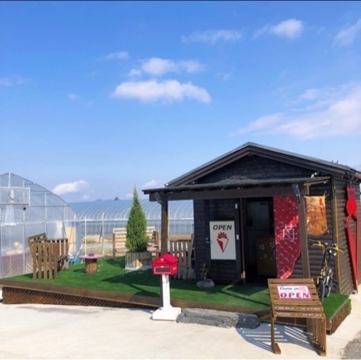 農業いちご栽培 いちご農園の摘み取り出荷作業スタッフ イチゴ 桜川の農業の無料求人広告 アルバイト バイト募集情報 ジモティー