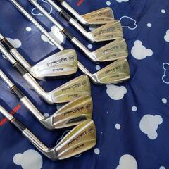 【 名器 】本間ゴルフ HONMA ゴルフバッグ アイアン セット