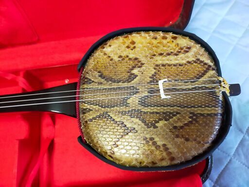 伝統的な三線 強化張り sanshin-makabigatakuro-