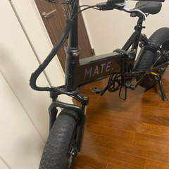 mate bike