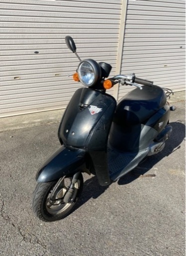 篠塚裕志 キャンペーン当選品 直筆色紙