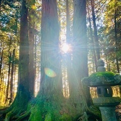 自然を感じたい🍀自然が好き🧜‍♀️🌟友達募集🌟