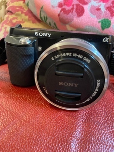 SONYのミラーレスカメラ