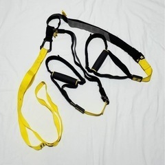 TRX PRO4 - サスペンショントレーナー リップトレーナー