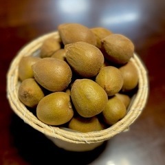 【商談中⑩】キウイフルーツ（東京ゴールド）1.3kg+小10個