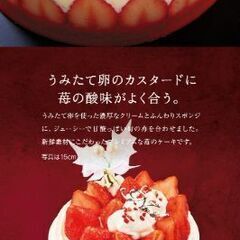 シャトレーゼのクリスマスケーキ半額で ヨッシー 武蔵小杉の食品の中古あげます 譲ります ジモティーで不用品の処分