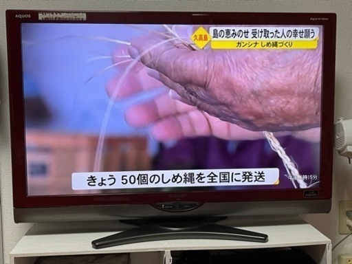 40v テレビ