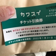 【ネット決済】カワスイ入場引換券