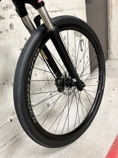 TREK クロスバイク Dual Sport 4 Mサイズ