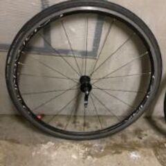 ロードバイク タイヤ カンパニョーロ ゾンタ