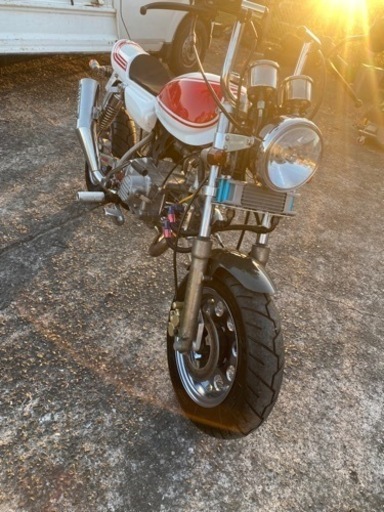 代理出品 美車 モンキー フルSP武川