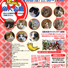 第１８回保護猫譲渡会in山口　【中止】