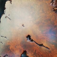 大きな衝立て　カリンの木?　かなり重たいです‼️綺麗‼️　１ｋｍ１００円で配達します。